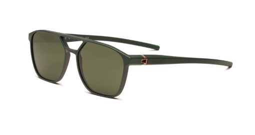 klenze-baum-voyou-feuerbach-pine-2